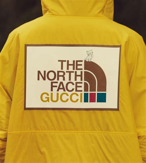 the norrh face x gucci|The North Face Gucci price.